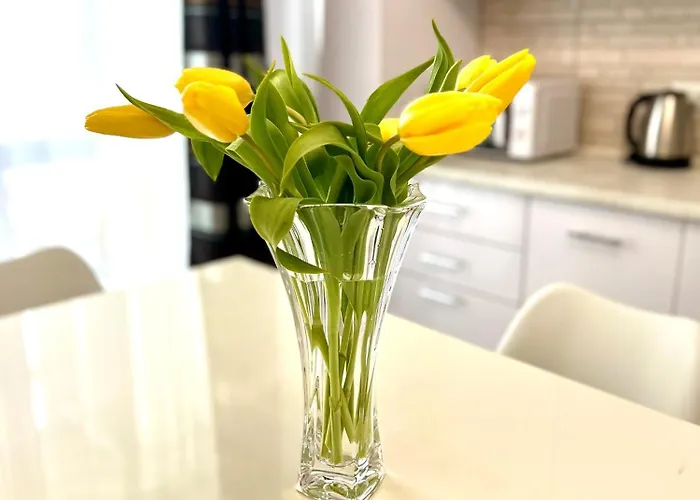 Osapart Shevchenka 21 Street *